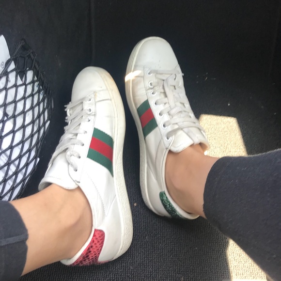 Gucci Shoes - gucci classic sneakers